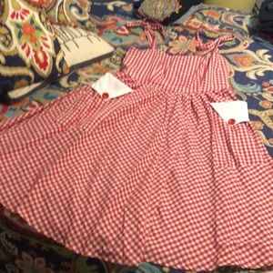 Adorable vintage inspired gingham picnic dress!